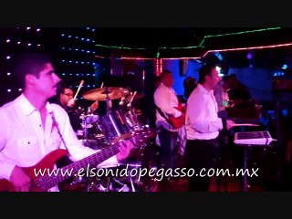 PEGASSO - NO ROMPAS