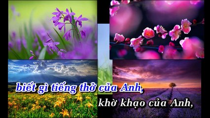 [Karaoke] Giấc Ngủ Trắng - Nguyên Trường