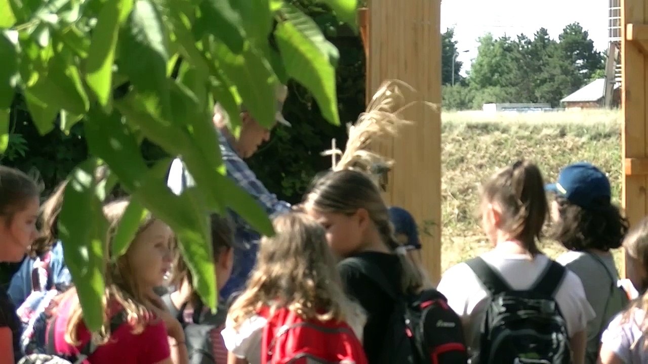 Vom Acker zum Brot - Projekt für Schulkinder