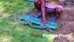 All About making Lawn (English Subtitles) II  Grow Grass Lawn in 1 day II Step by Step Guide & Tips II 1 दिन में तैयार करें घास वाली लॉन II Live Demo of Growing Grass II DIY of Lawn Making II Sansar Green II Grow Lawn Grass easily II How to Make Lawn