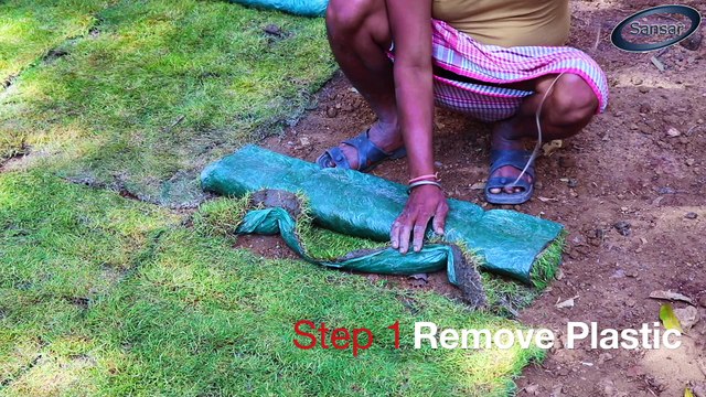 All About making Lawn (English Subtitles) II Grow Grass Lawn in 1 day II Step by Step Guide & Tips II 1 दिन में तैयार करें घास वाली लॉन II Live Demo of Growing Grass II DIY of Lawn Making II Sansar Green II Grow Lawn Grass easily II How to Make Lawn