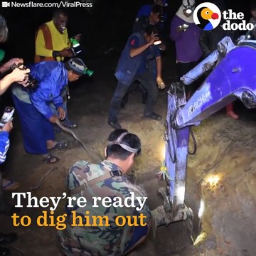 This elephant mom wouldn't stop crying until rescuers figured out what she wanted ❤️️