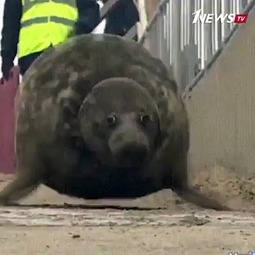 Я после работы лечу домой