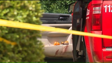 Elderly Cab Driver Found Murdered in St. Louis Street