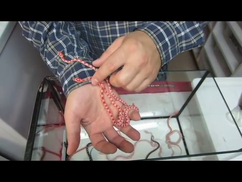 Il nous montre ses bébés serpents adorables...