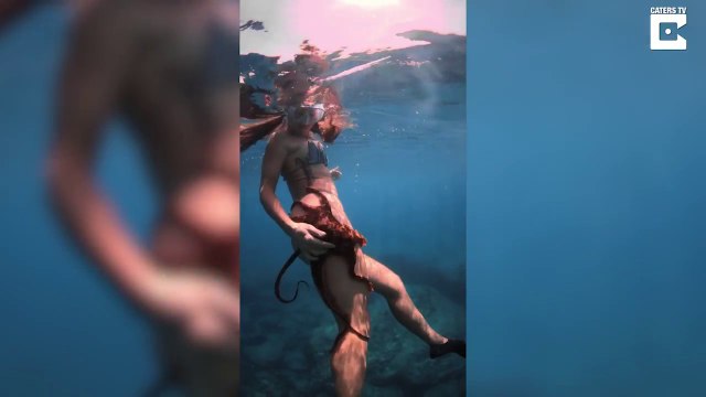 Un poulpe reste accroché à une plongeuse : adorable!