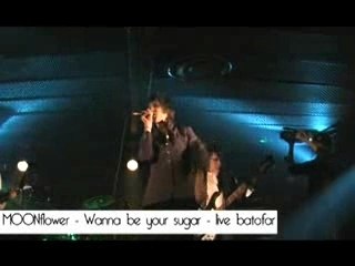 MOONflower - Wanna be your sugar (Live)