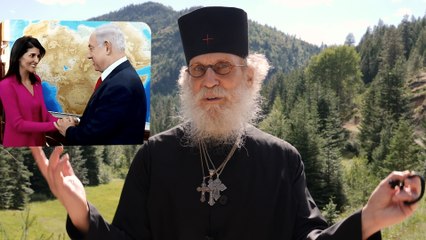 Syria – It's A Jungle Out There