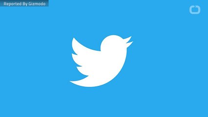 Twitter Bot Joins Immigration Battle to Fight ICE With Facts