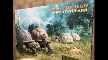 Anza Borrego Desert State Park in California
