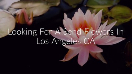 Call @ (213) 394-4645 For Send Flowers Los Angeles CA