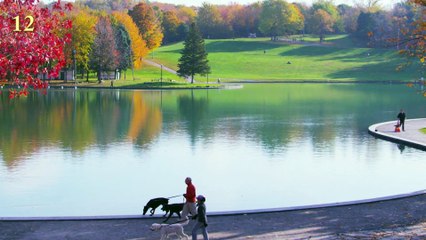 MEXICO Fun Funny Unexpected traditions