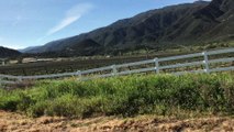 Road to Desert State Park Anza Borrego