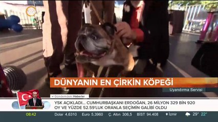 Çirkin köpekler yarıştı