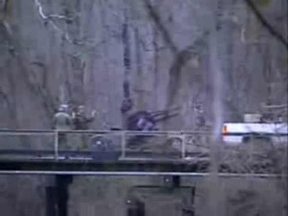 US Navy SEALs combat/sniper documentry - Tvdownloads.dr.ag