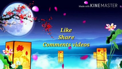 Rajasthani now whatsapp status/vivah geet  ?????