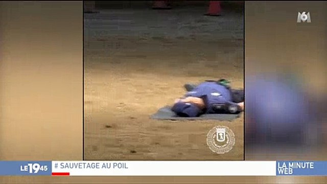 Un chien de la police de Madrid fait le buzz dans le monde entier, mais pourquoi ? Regardez