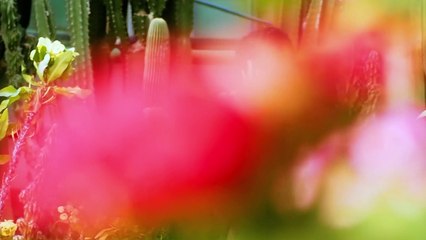 Những mỹ nhân Kpop khiến netizen tò mò về đời tư nhất