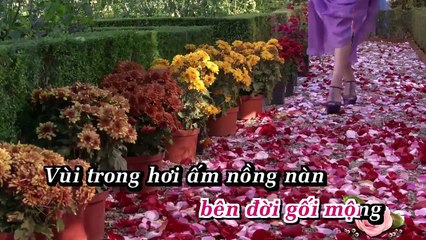 Bài Ngợi Ca Tình Yêu - Thái Thảo