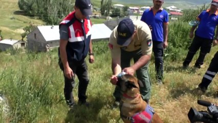 Leyla’nın Bulunması İçin Metruk Evlerde Kazı Yapıldı