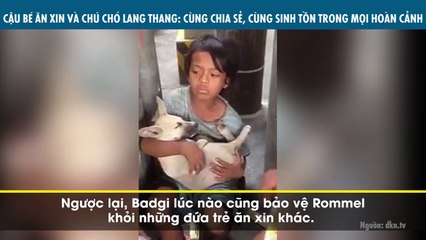 CẬU BÉ ĂN XIN VÀ CHÚ CHÓ LANG THANG: CÙNG CHIA SẺ, CÙNG SINH TỒN TRONG MỌI HOÀN CẢNH