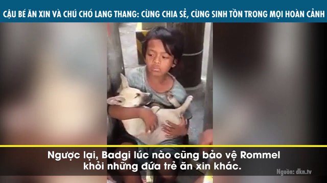 CẬU BÉ ĂN XIN VÀ CHÚ CHÓ LANG THANG: CÙNG CHIA SẺ, CÙNG SINH TỒN TRONG MỌI HOÀN CẢNH