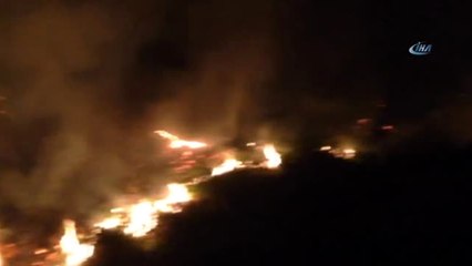 İngiltere'de Aşırı Sıcaklar Yangına Neden Oldu