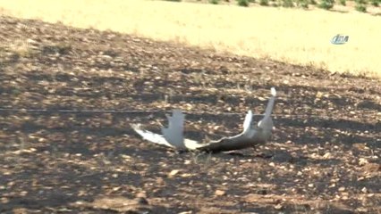 Gaziantep Üniversitesi'nden Düşen Uçak ile İlgili Açıklama