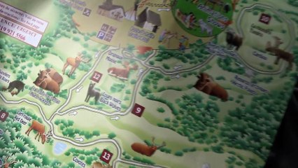 VLOG • Des rennes et des sangliers dans notre voiture !! - SBT ZooSafari J7 Québec