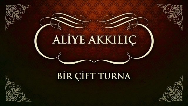 Aliye Akkılıç - Bir Çift Turna (45'lik)