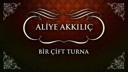 Aliye Akkılıç - Bir Çift Turna (45'lik)
