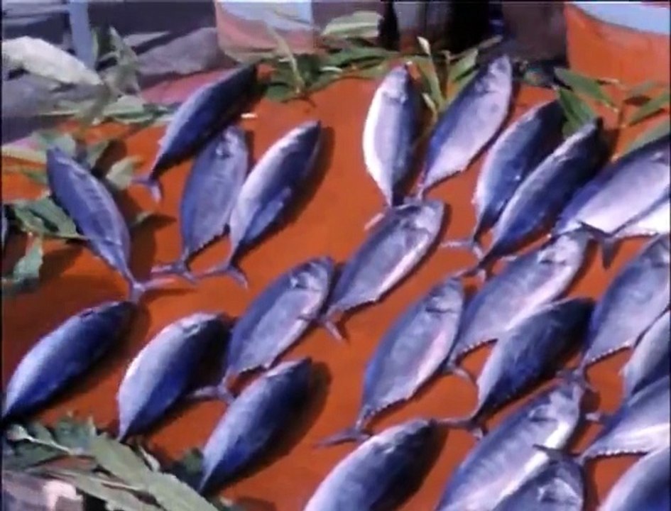 Les Globe trotters  05 Istanbul mkv