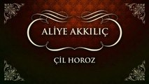 Aliye Akkılıç - Çil Horoz (45'lik)