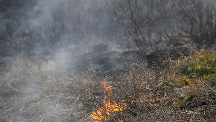 Casas evacuadas devido a incêndio na região de Manchester