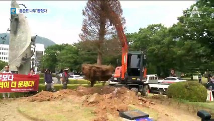 경남도청 화단서 뽑힌 ‘홍준표 나무’…무슨 사연?