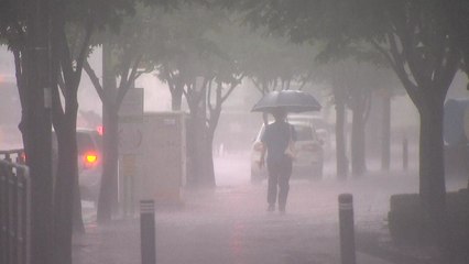 야행성 장마, 밤새 남해안 150mm...내륙은 찜통 / YTN