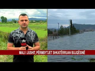MALI I JUSHIT, PËRMBYTJET SHKATËRRUAN BUJQËSINË
