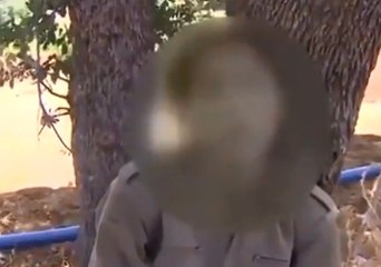 PKK'lı Kadın Terörist: Beni HDP'liler Götürüp PKK'lılara Teslim Etti