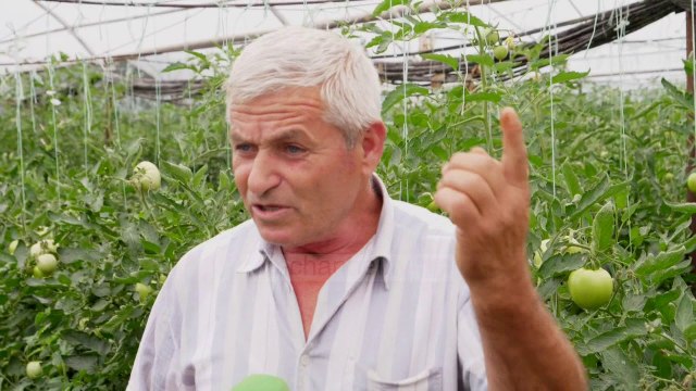 Fermerët duan rrugë në Elbasan, shtohen serat dhe prodhimet - Top Channel Albania - News - Lajme