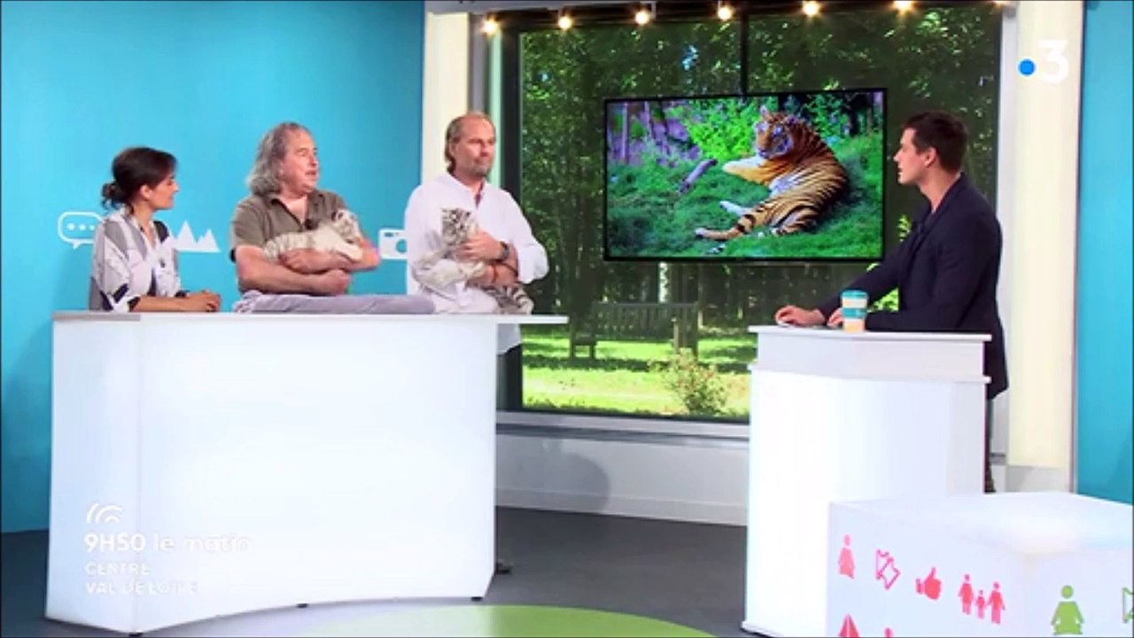 remy_tv_260618