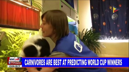 GLOBAL NEWS: Carnivores are best at predicting World Cup winners