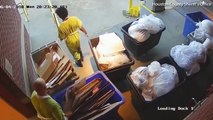 Deux prisonniers s'évadent en sortant les poubelles