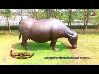 ภูมิปัญญาช่างปั้น หล่อ ประติมากรรมพญาควาย | คุณพระช่วย