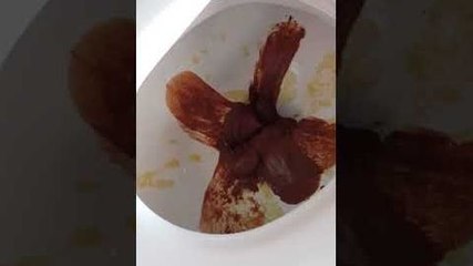 Mousse au chocolat dans la cuvette des toilettes (Israël)