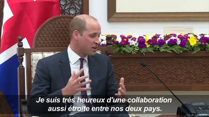 Territoires palestiniens: le Prince William parle de "pays"