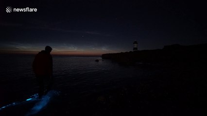 Rare and beautiful bioluminescence on a beach in north Wales