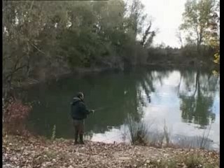 La peche de la Perche Au Vers Et Au Leurres Souples