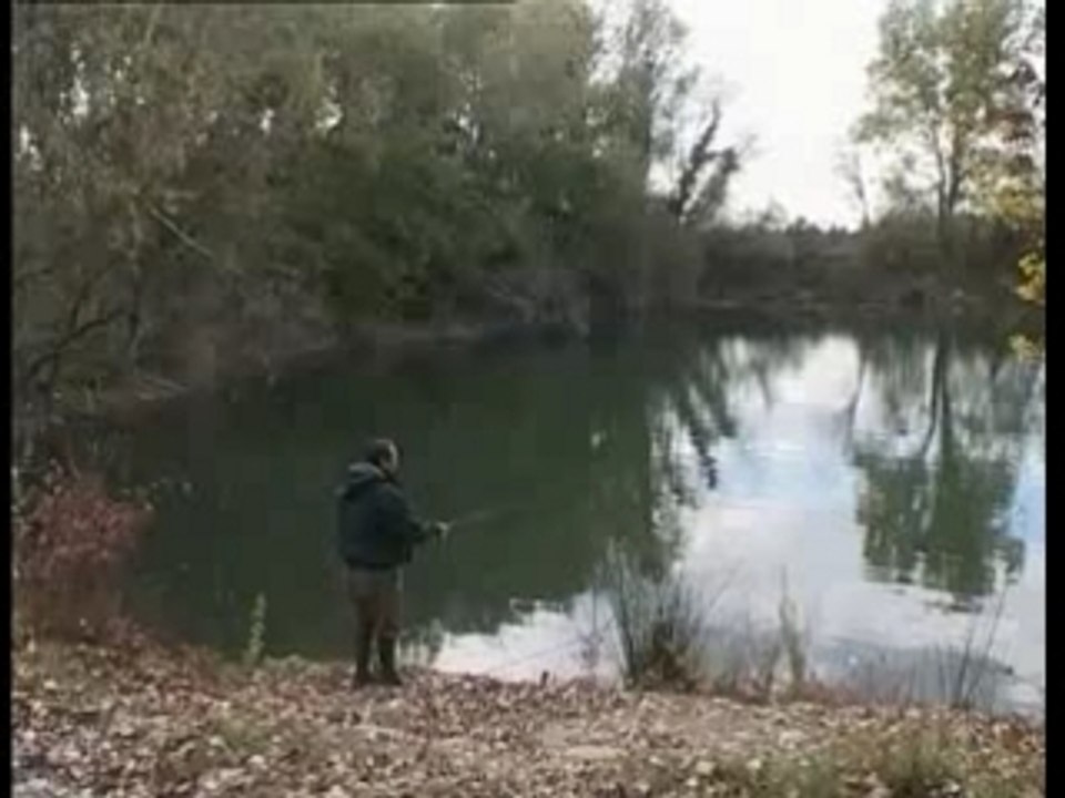 La peche de la Perche Au Vers Et Au Leurres Souples