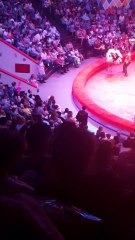 Circus Ostrich Takes Off
