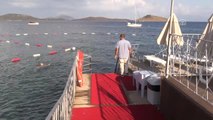 Bodrum'da Ölü Yunus Sahile Vurdu